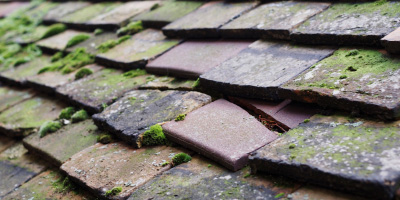 Stibbington roof repair costs